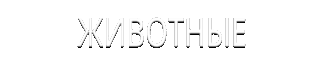 Животные