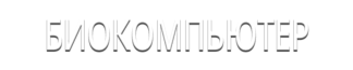 Биокомпьютер