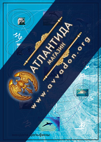 Дельфины-1